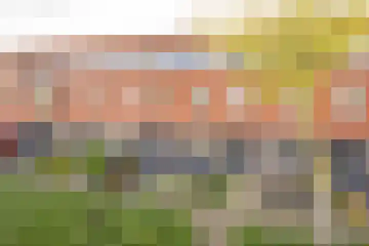Botter 26 Nijkerk thumbnail 43