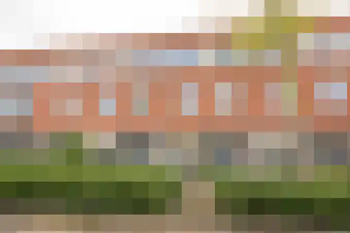 Botter 26 Nijkerk thumbnail 44
