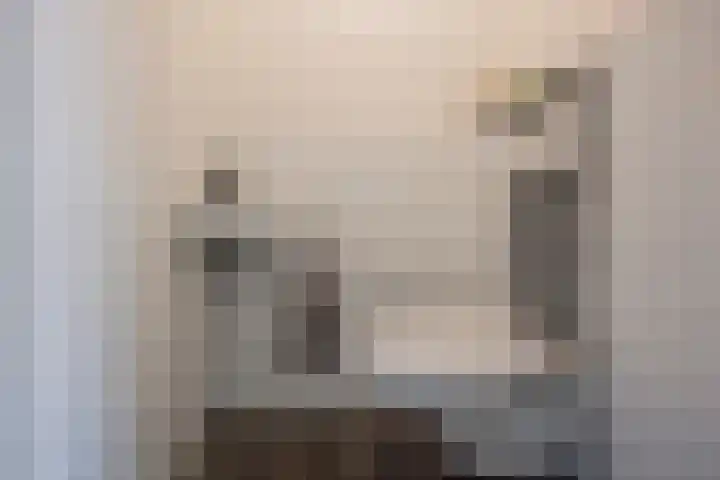 Botter 26 Nijkerk thumbnail 6