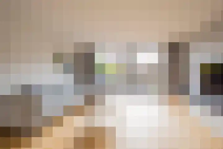 Botter 26 Nijkerk thumbnail 7