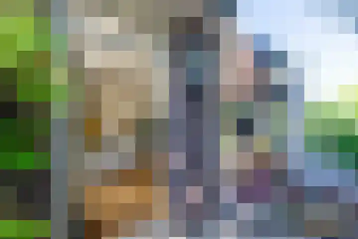 Botter 26 Nijkerk thumbnail 8