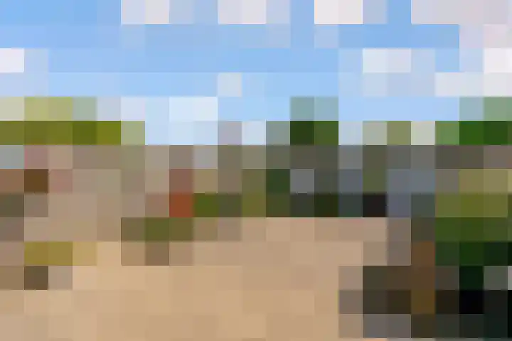 Botter 27 27 27 Lelystad thumbnail 22