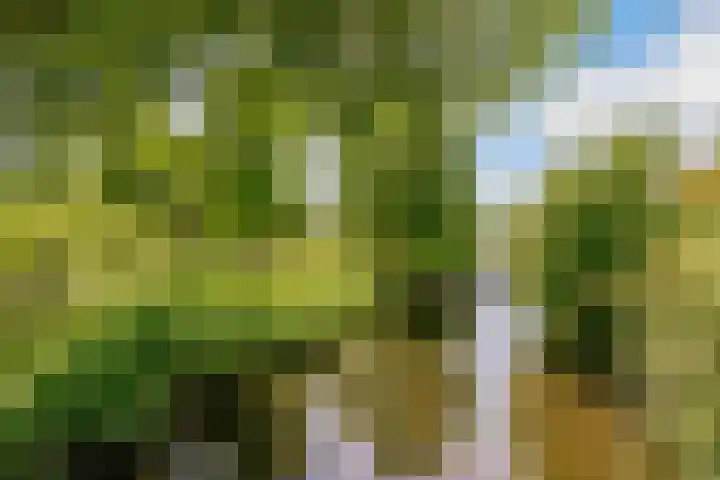 Botter 27 27 27 Lelystad thumbnail 30