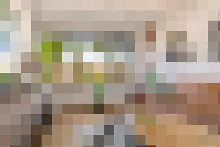 Botter 27 27 27 Lelystad thumbnail 6