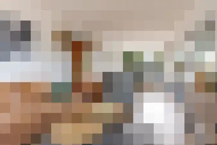 Botter 27 27 27 Lelystad thumbnail 7