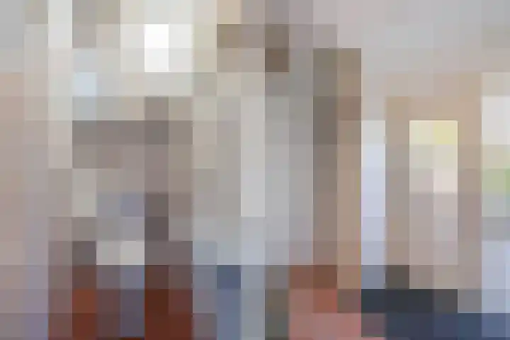 Botter 27 27 5 Lelystad thumbnail 13