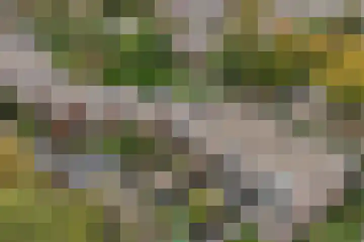 Botter 27 27 5 Lelystad thumbnail 36