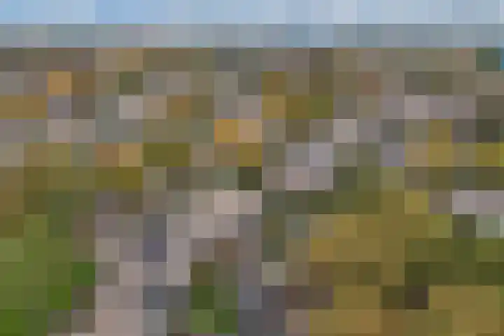 Botter 27 27 5 Lelystad thumbnail 37