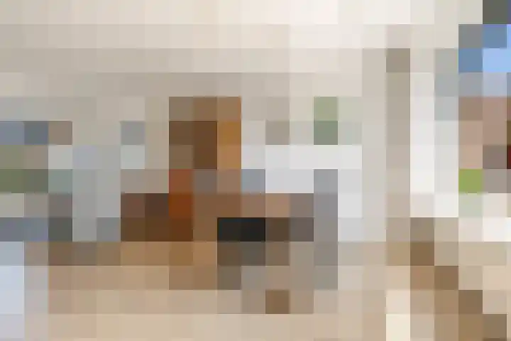 Botter 27 27 Lelystad thumbnail 10
