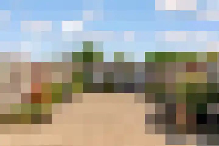Botter 27 27 Lelystad thumbnail 24