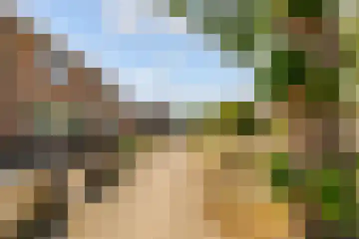 Botter 27 27 Lelystad thumbnail 26