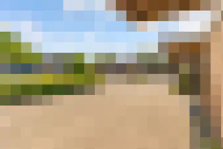 Botter 27 27 Lelystad thumbnail 27