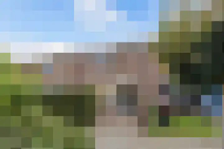Botter 27 5 Lelystad thumbnail 10