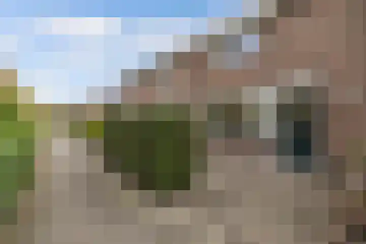 Botter 27 5 Lelystad thumbnail 11