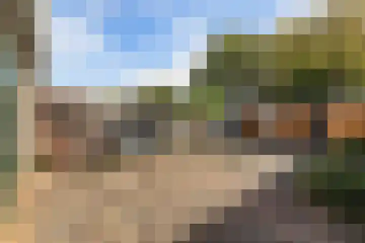 Botter 27 5 Lelystad thumbnail 34