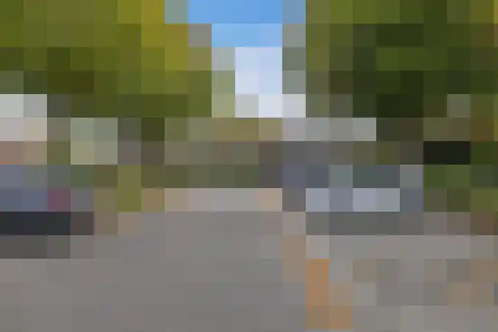 Botter 27 5 Lelystad thumbnail 6