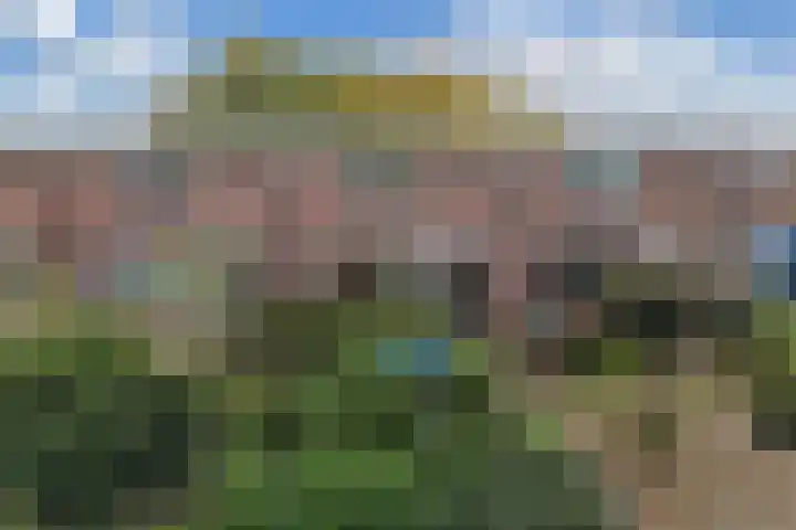 Botter 27 5 Lelystad thumbnail 9