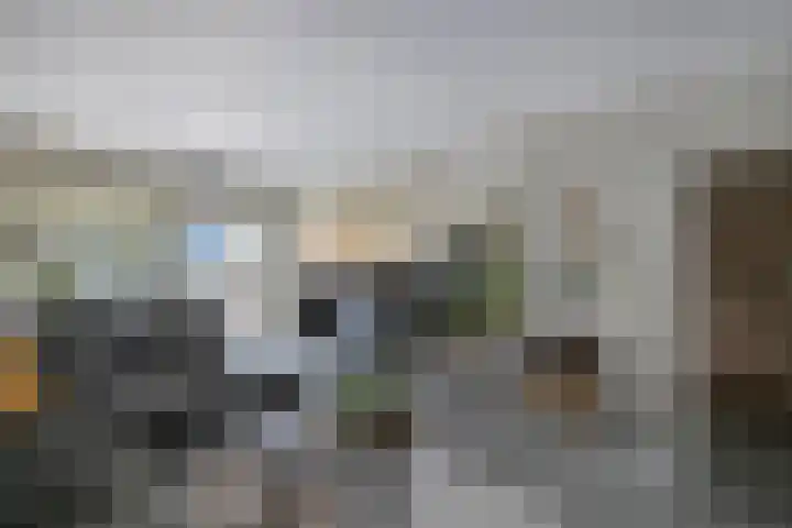 Botter 28 36 Lelystad thumbnail 11