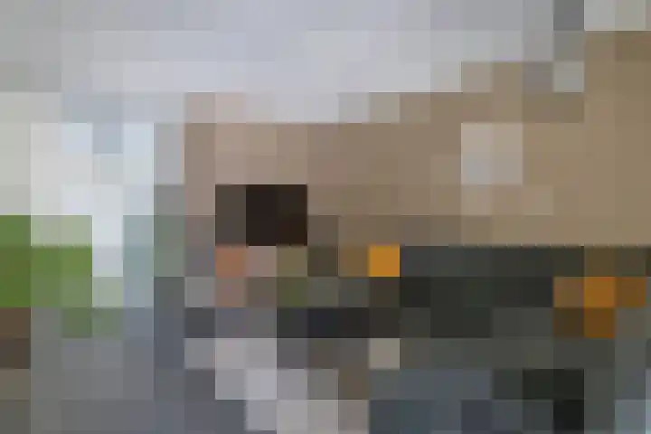 Botter 28 36 Lelystad thumbnail 12