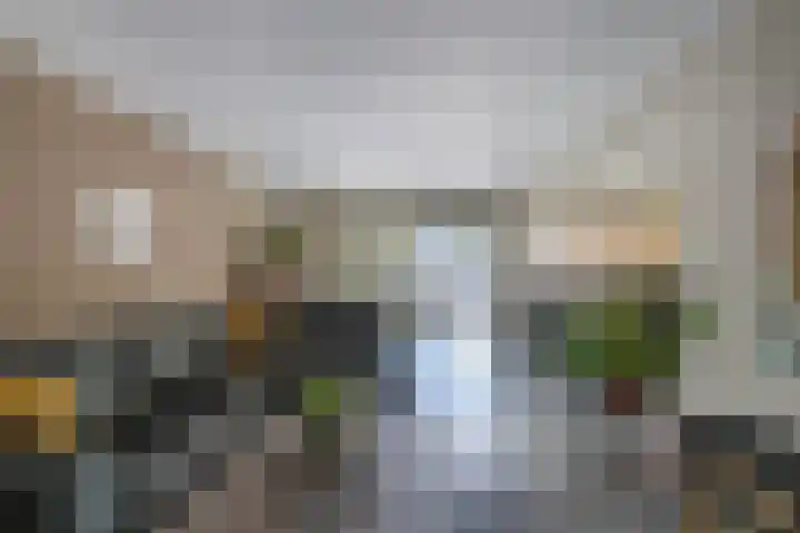 Botter 28 36 Lelystad thumbnail 13