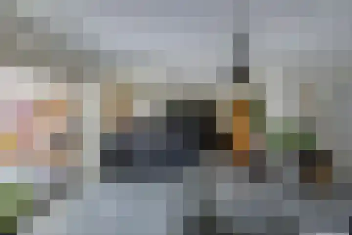 Botter 28 36 Lelystad thumbnail 14