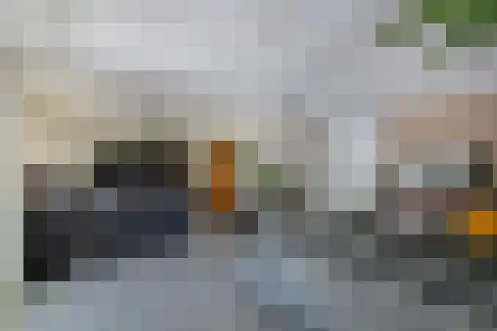 Botter 28 36 Lelystad thumbnail 15