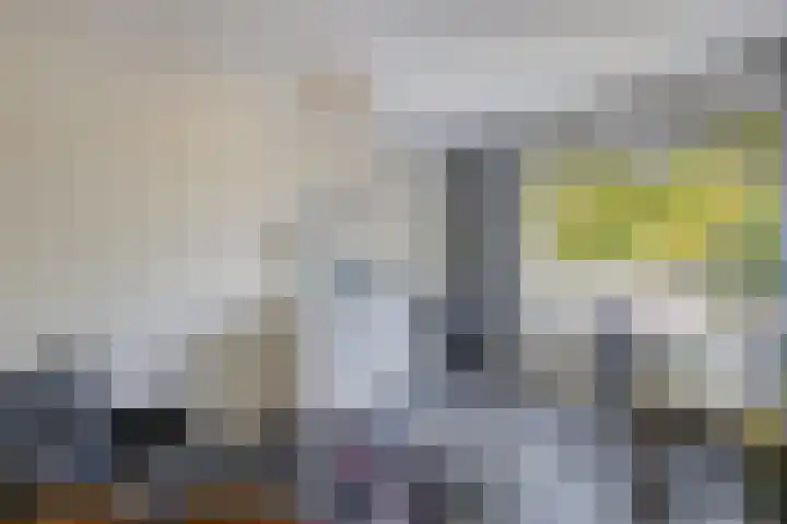 Botter 28 36 Lelystad thumbnail 22