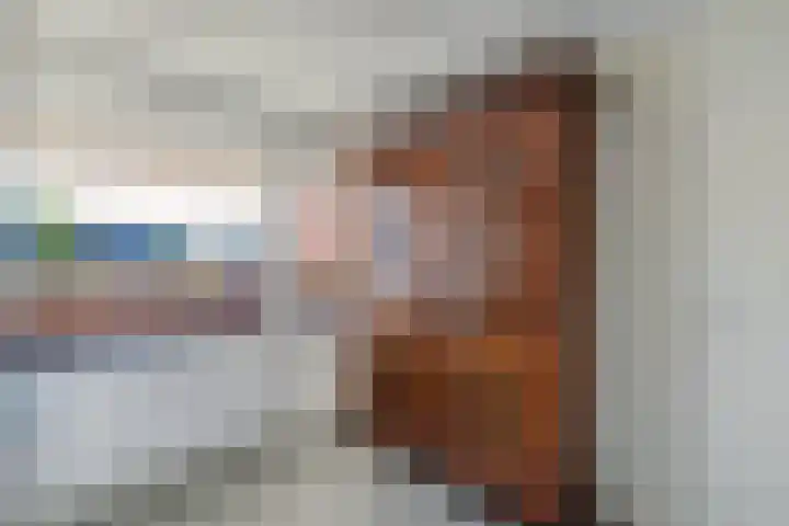 Botter 28 36 Lelystad thumbnail 27