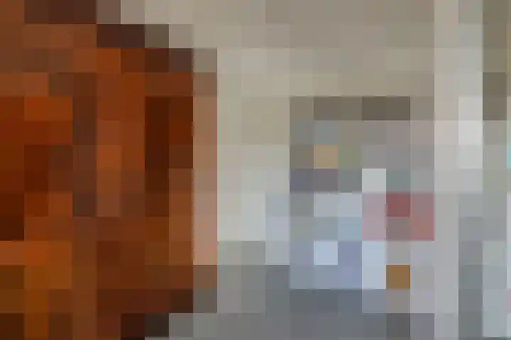 Botter 28 36 Lelystad thumbnail 28