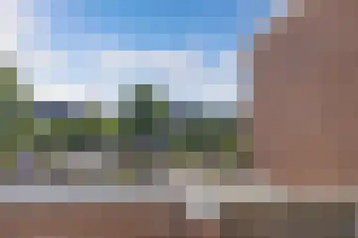 Botter 28 36 Lelystad thumbnail 37