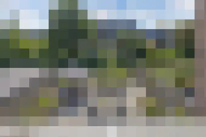 Botter 28 36 Lelystad thumbnail 38