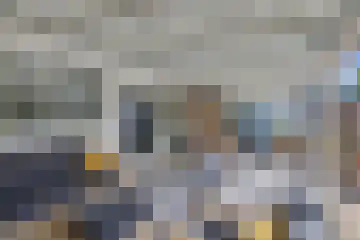 Botter 28 36 Lelystad thumbnail 39