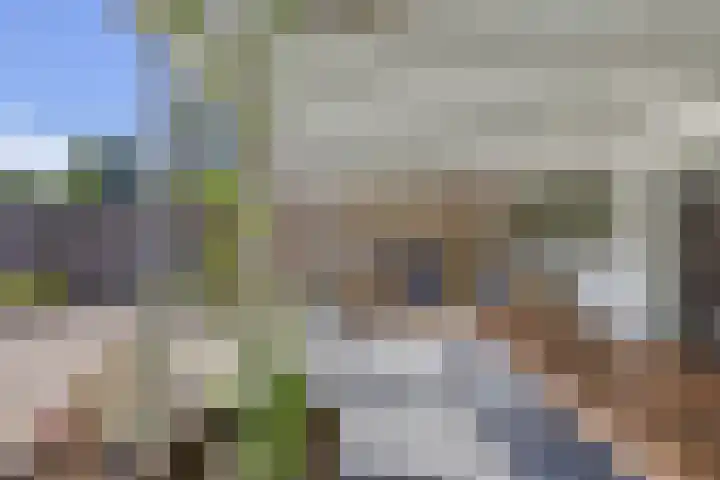 Botter 28 36 Lelystad thumbnail 40