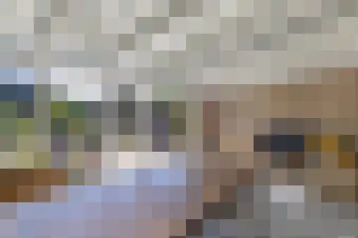 Botter 28 36 Lelystad thumbnail 41