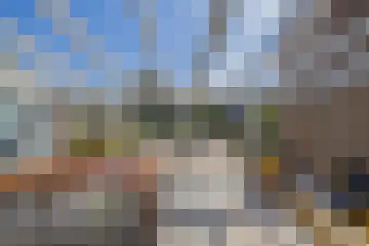 Botter 28 36 Lelystad thumbnail 42