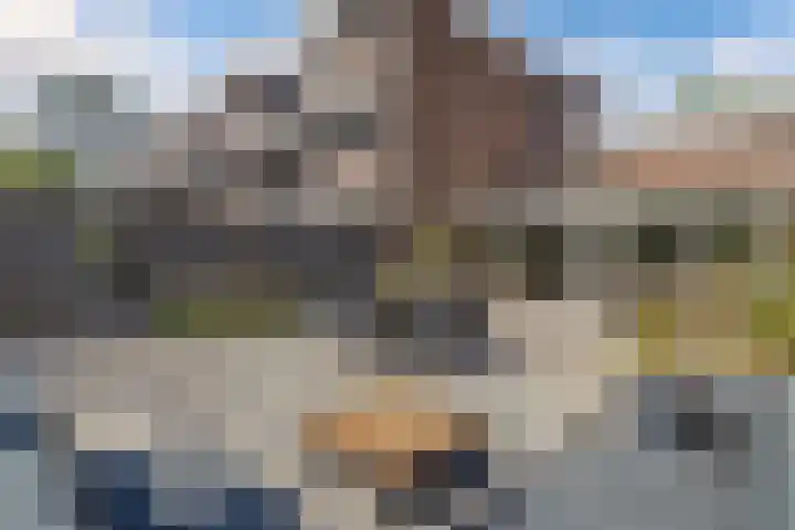 Botter 28 36 Lelystad thumbnail 45