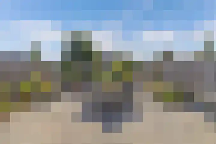 Botter 28 36 Lelystad thumbnail 48