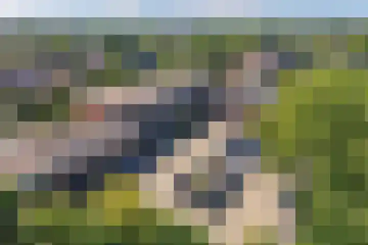 Botter 28 36 Lelystad thumbnail 60
