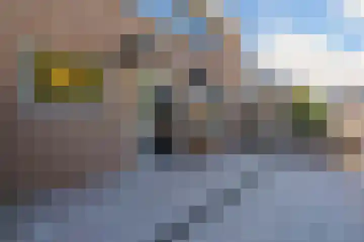 Botter 28 36 Lelystad thumbnail 8