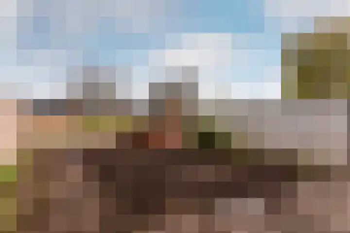 Botter 29 29 54 Lelystad thumbnail 21