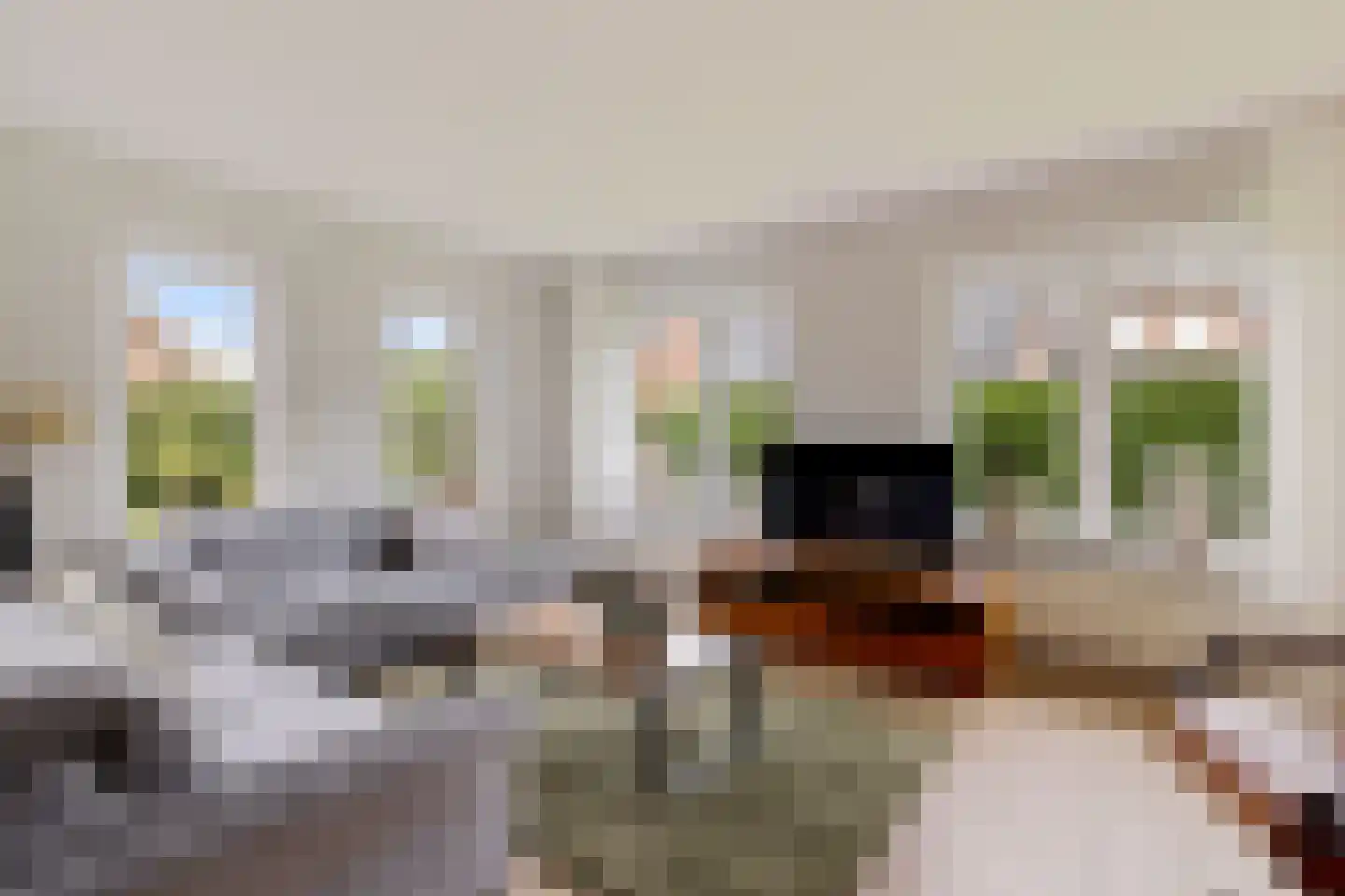 Botter 29 29 Lelystad thumbnail 15