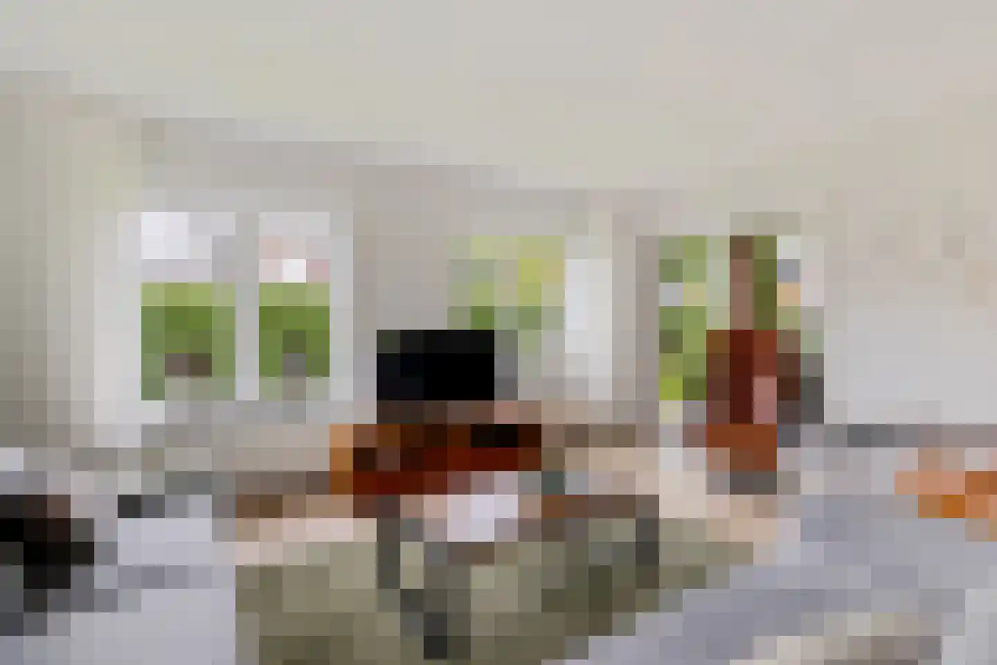 Botter 29 29 Lelystad thumbnail 16