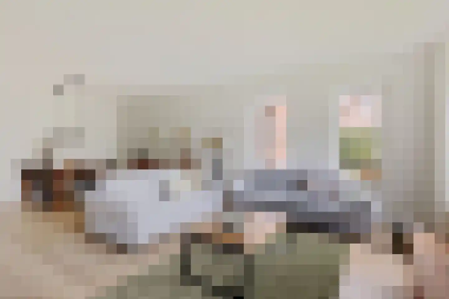 Botter 29 29 Lelystad thumbnail 17