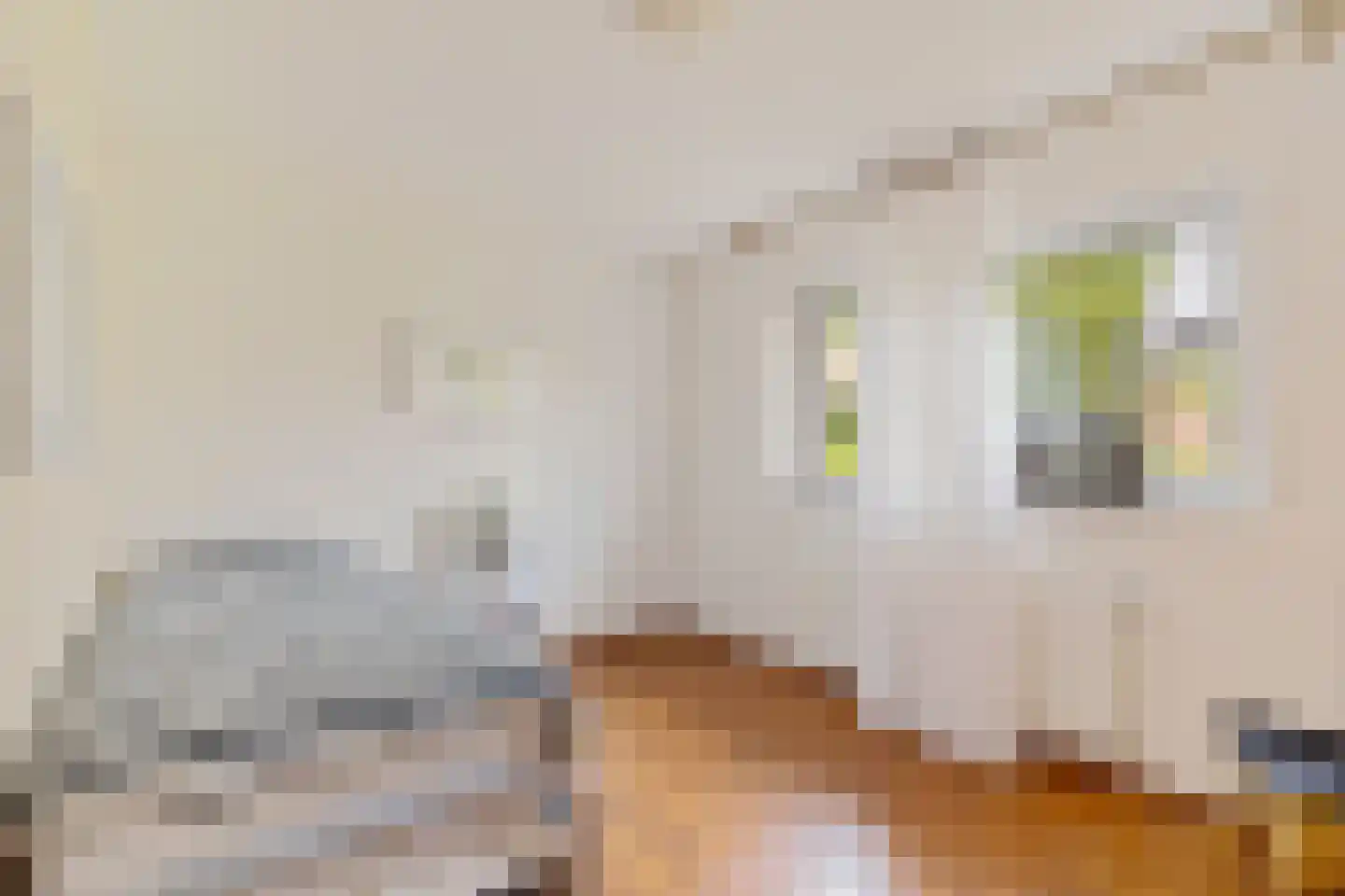 Botter 29 29 Lelystad thumbnail 24