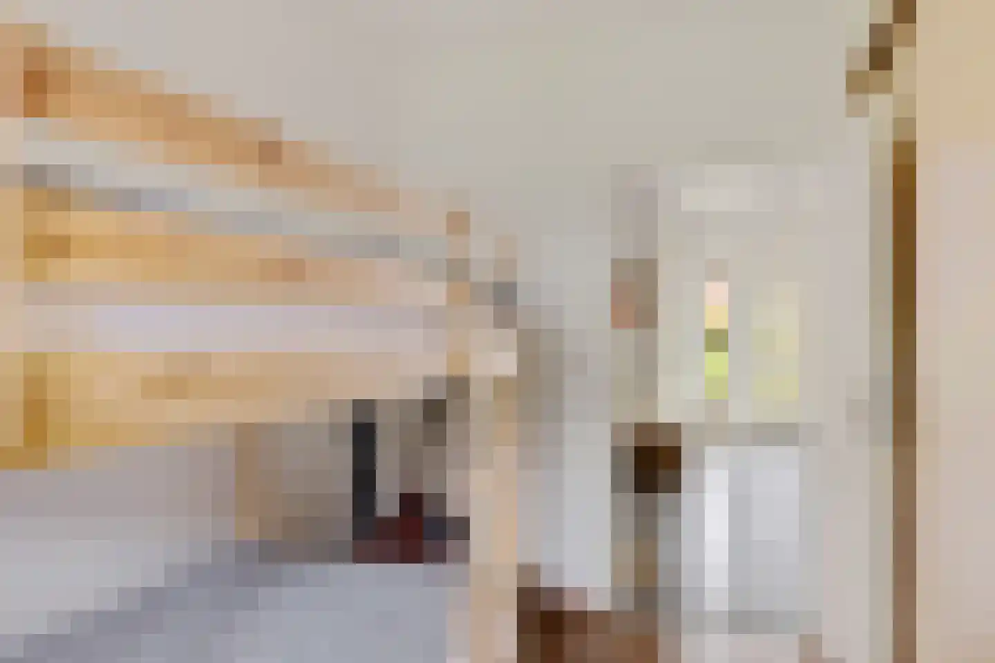 Botter 29 29 Lelystad thumbnail 27