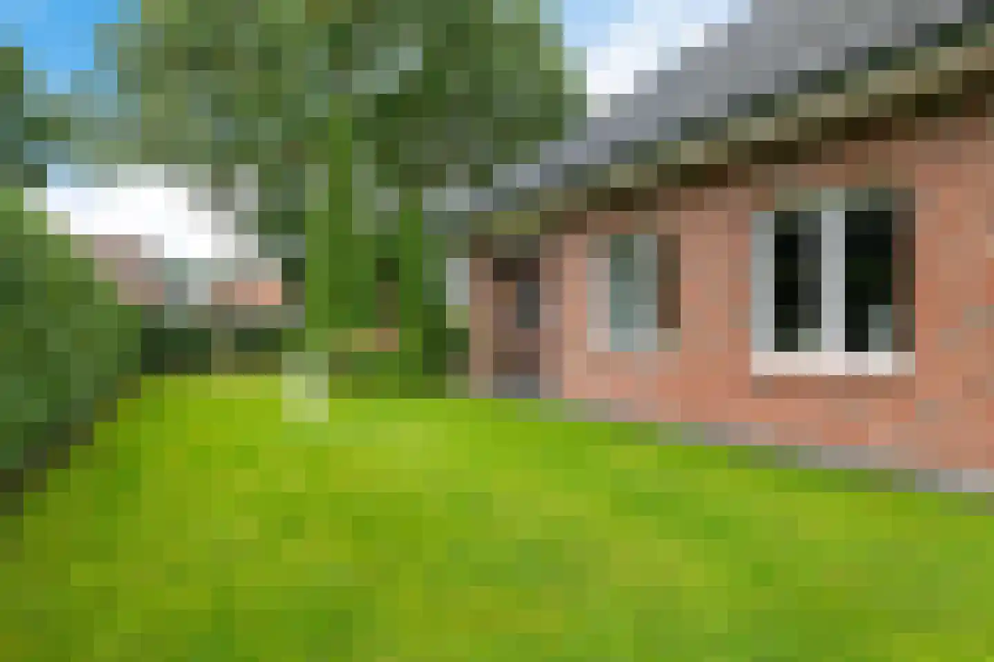 Botter 29 29 Lelystad thumbnail 32