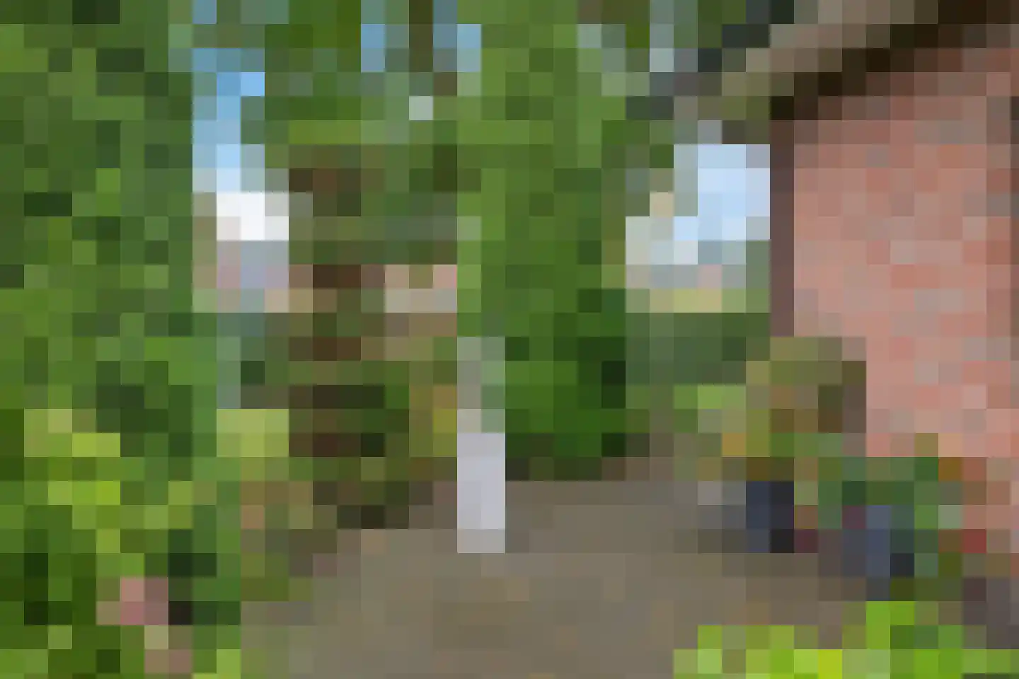 Botter 29 29 Lelystad thumbnail 34