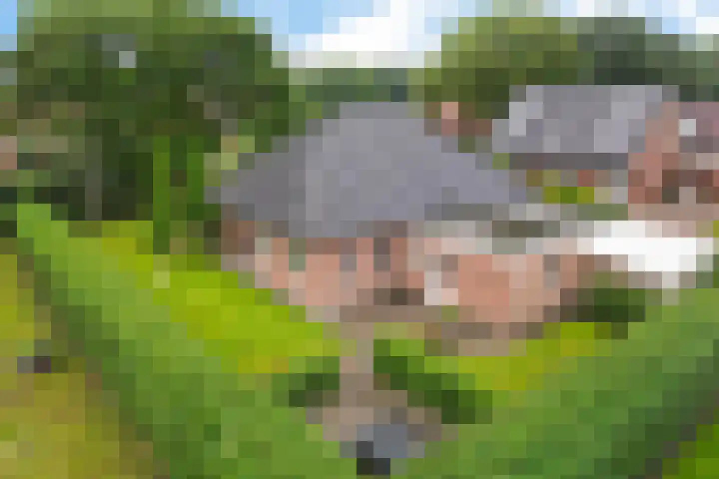 Botter 29 29 Lelystad thumbnail 38