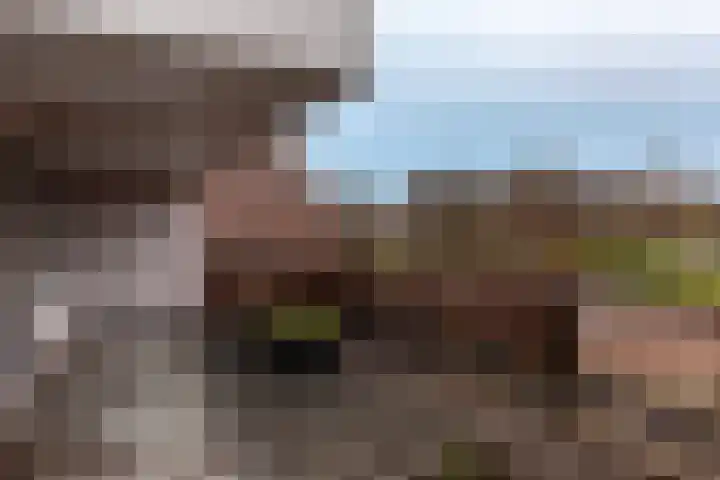 Botter 29 54 Lelystad thumbnail 19