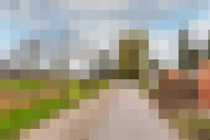 Botter 29 54 Lelystad thumbnail 22